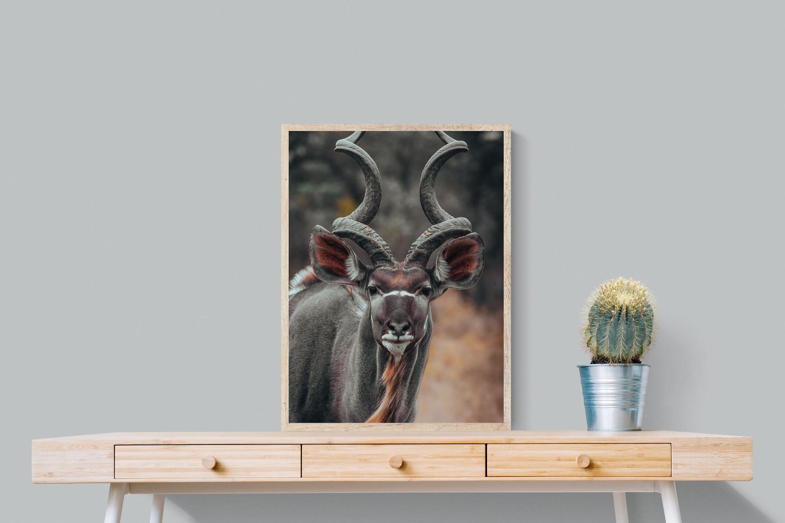 Pixalot Kudu