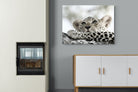 Leopard Cub-Wall_Art-100 x 75cm-Mounted Canvas-No Frame-Pixalot