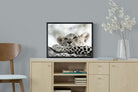 Leopard Cub-Wall_Art-60 x 45cm-Mounted Canvas-Black-Pixalot