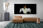 Pixalot Lilium on Black