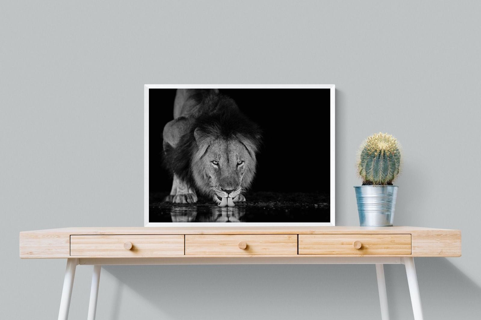 Lion Lake-Wall_Art-80 x 60cm-Mounted Canvas-White-Pixalot