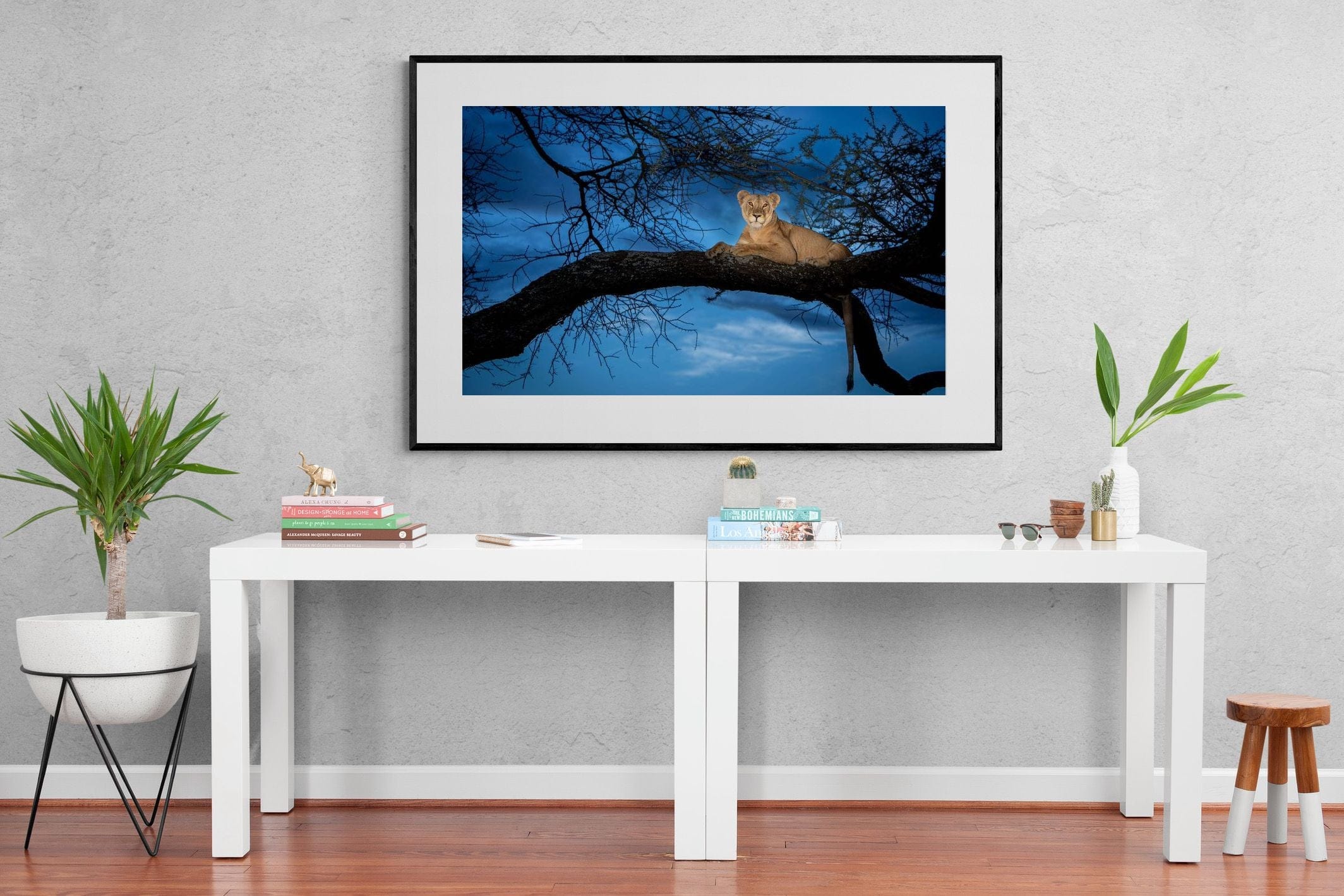 Lion at Dusk-Wall_Art-150 x 100cm-Framed Print-Black-Pixalot