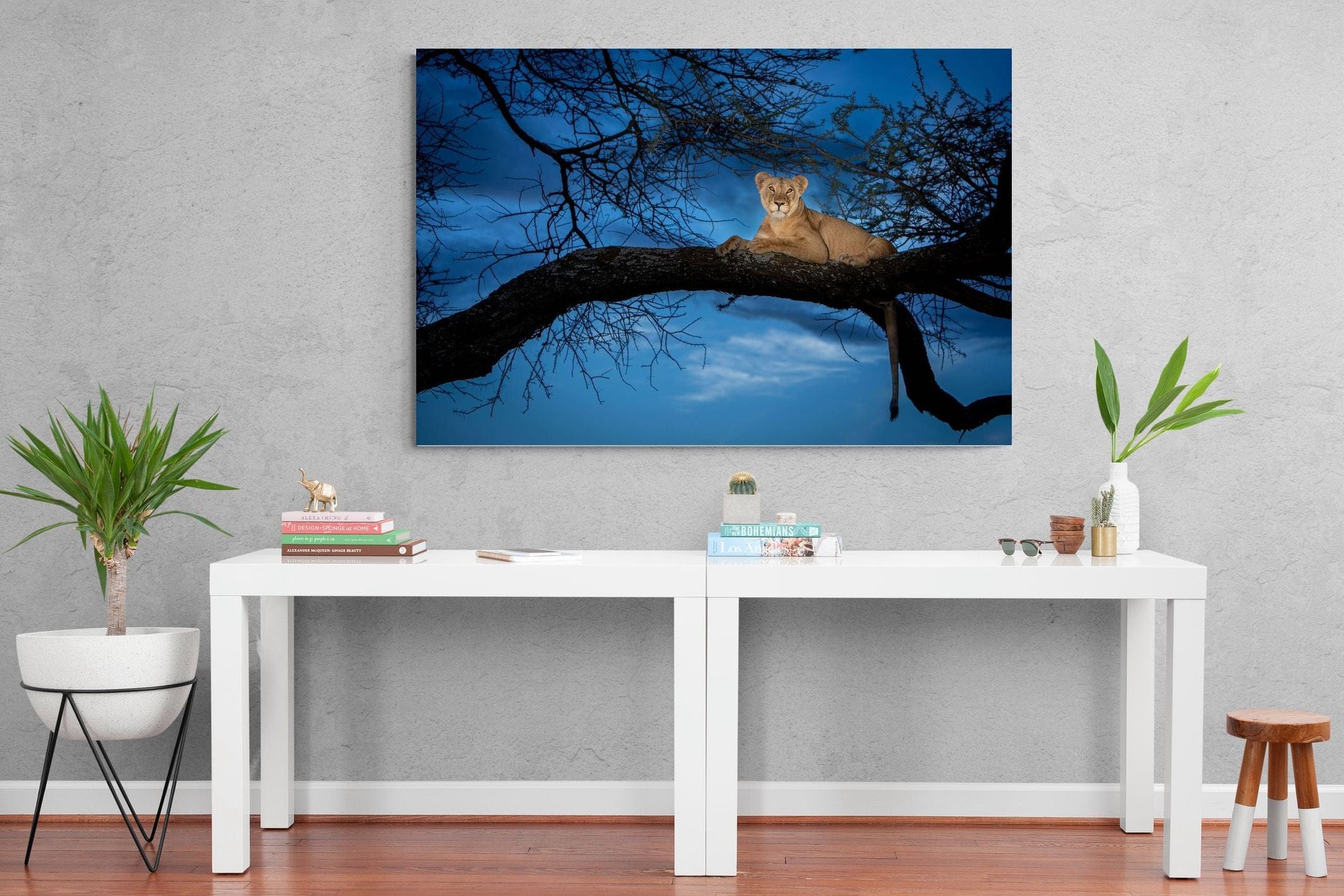 Lion at Dusk-Wall_Art-150 x 100cm-Mounted Canvas-No Frame-Pixalot