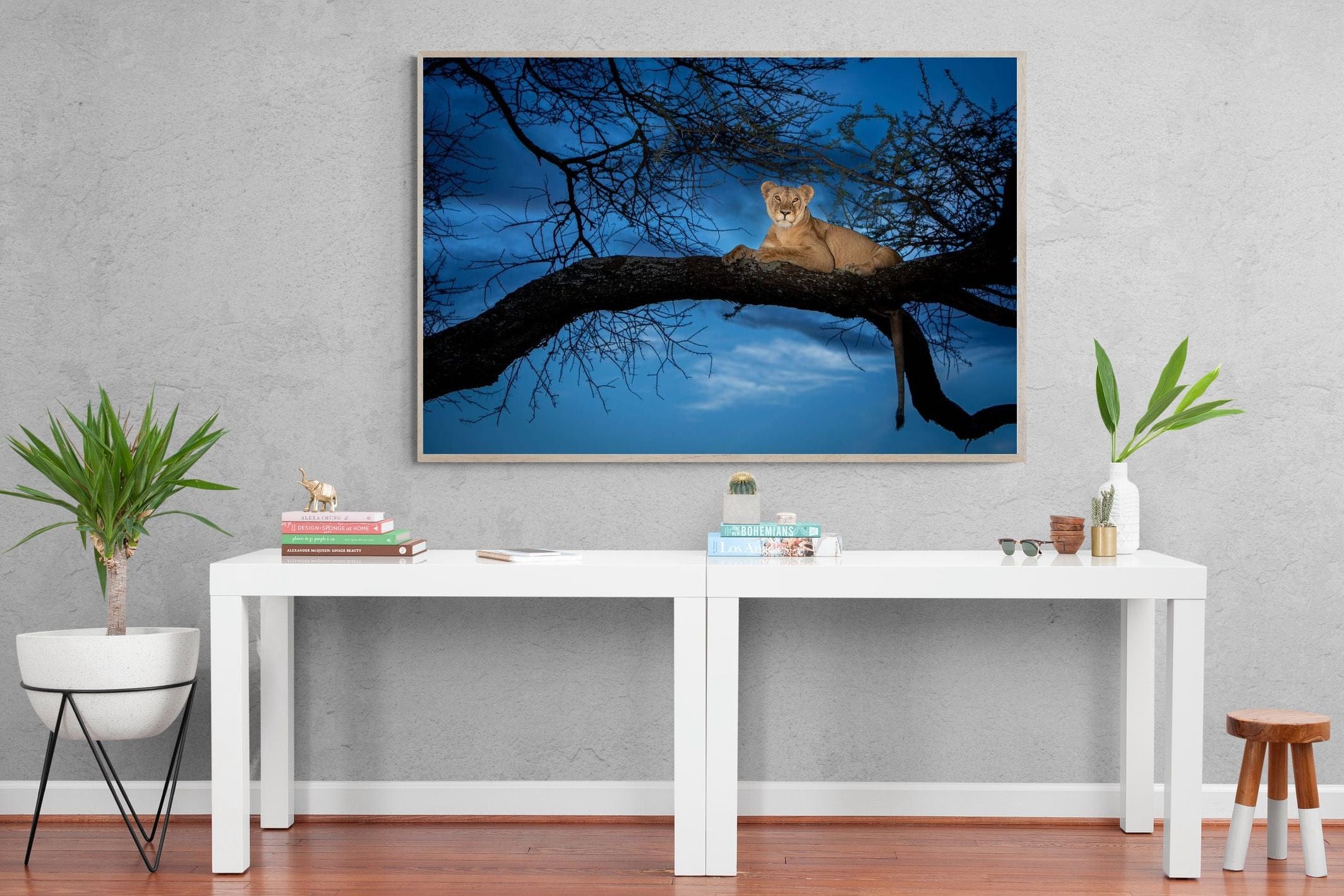 Lion at Dusk-Wall_Art-150 x 100cm-Mounted Canvas-Wood-Pixalot