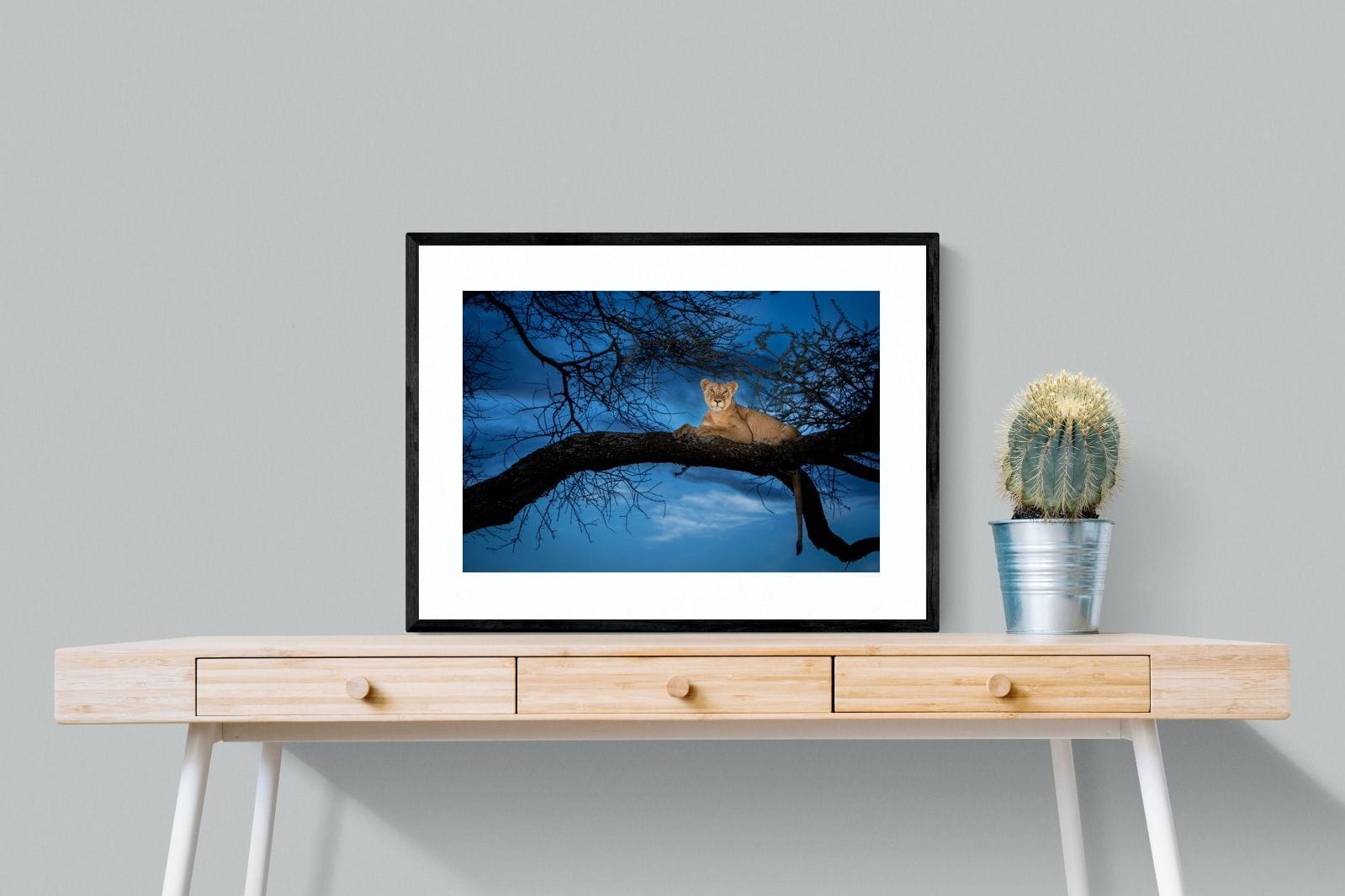 Lion at Dusk-Wall_Art-80 x 60cm-Framed Print-Black-Pixalot