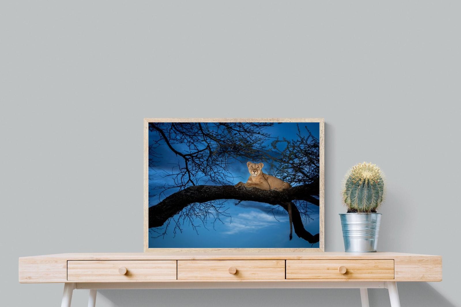 Lion at Dusk-Wall_Art-80 x 60cm-Mounted Canvas-Wood-Pixalot