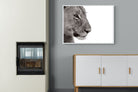 Pixalot Lioness Gaze