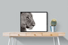 Pixalot Lioness Gaze