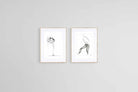 Lor Muller Set-Wall_Art-45 x 60cm (x2)-Framed Print-Wood-Pixalot