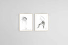 Lor Muller Set-Wall_Art-45 x 60cm (x2)-Mounted Canvas-Wood-Pixalot