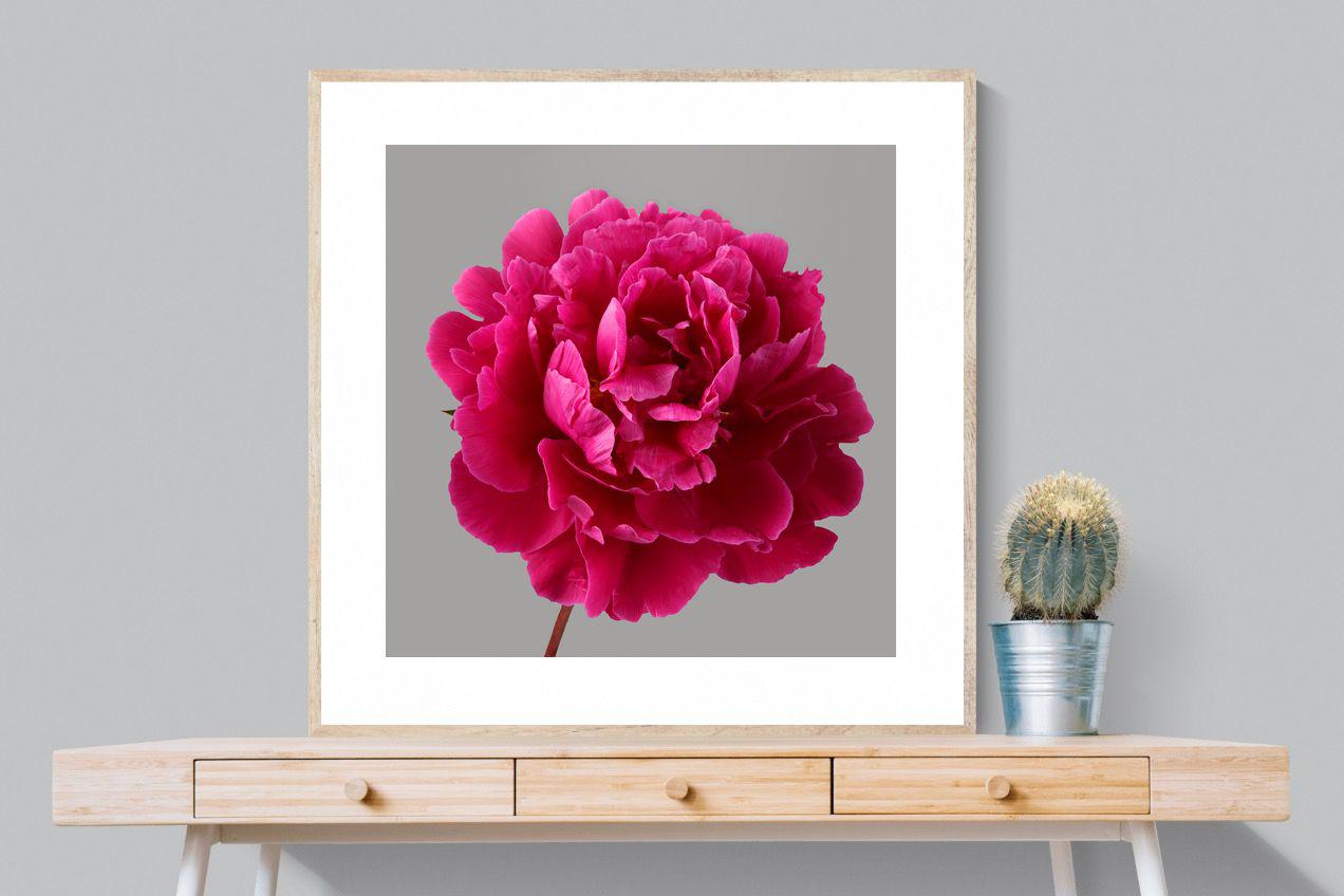 Pixalot Magenta Peony