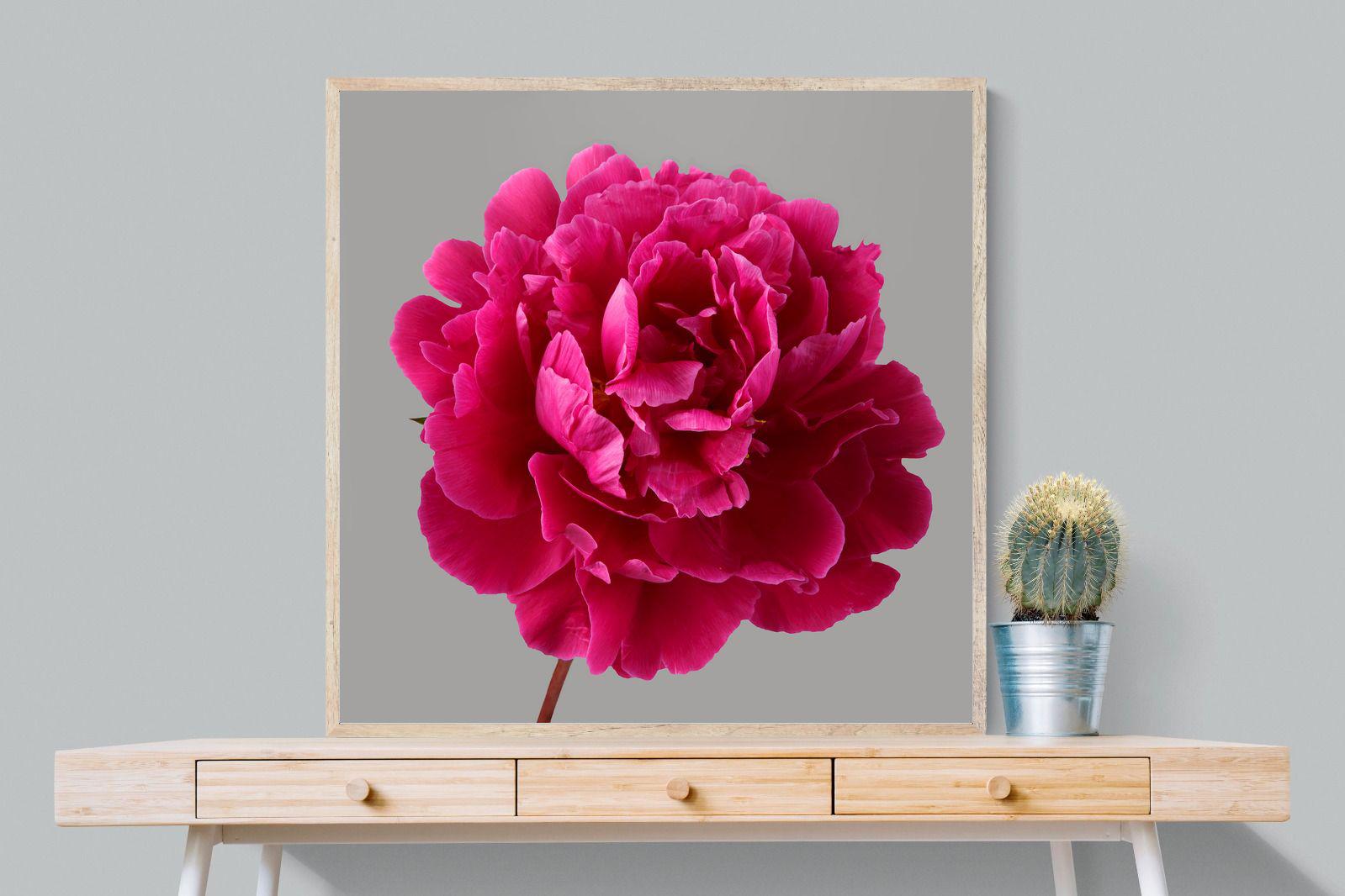 Pixalot Magenta Peony