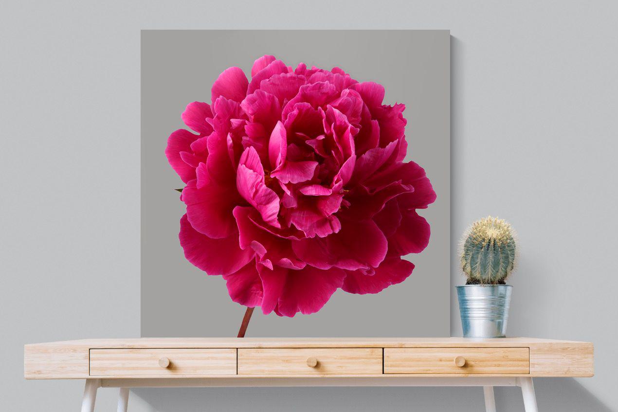 Pixalot Magenta Peony