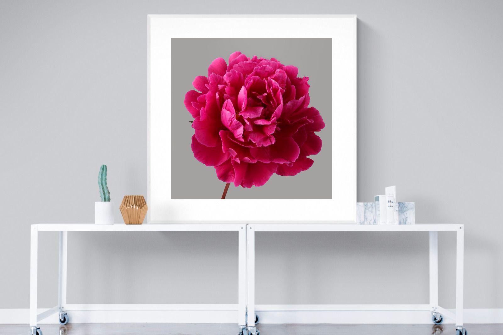 Pixalot Magenta Peony