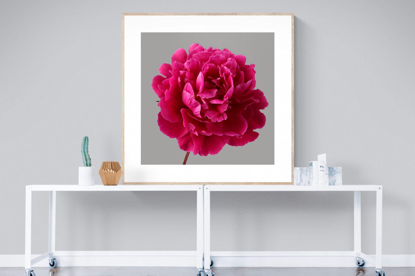 Pixalot Magenta Peony