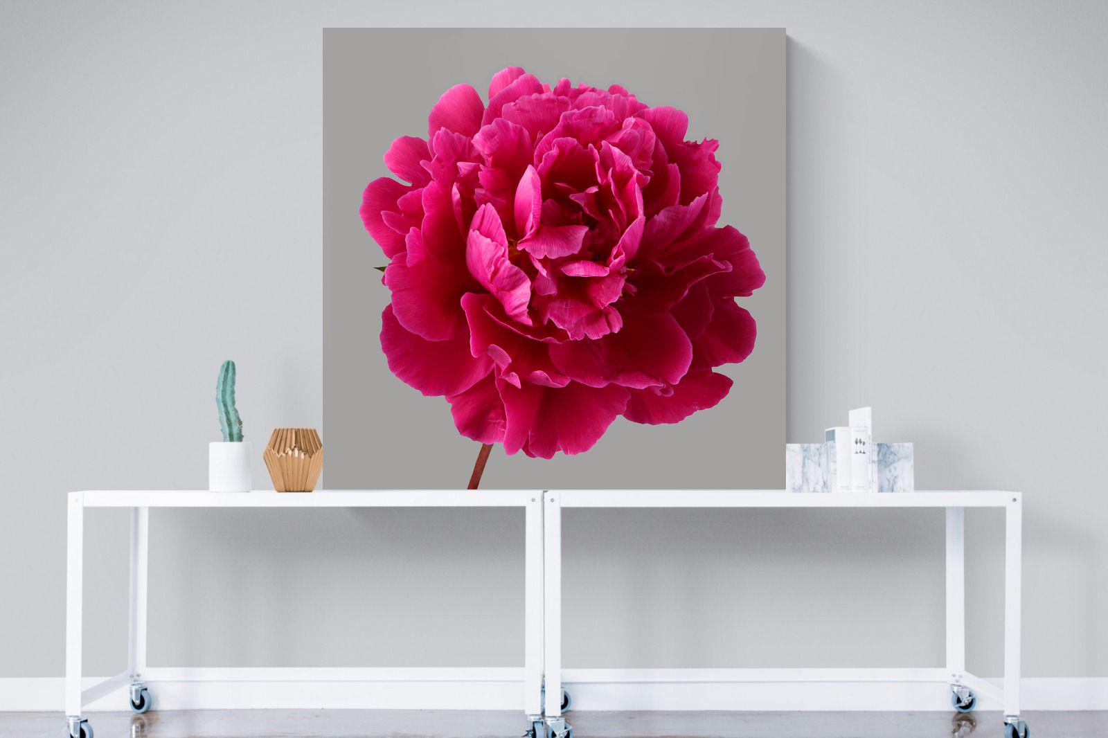 Pixalot Magenta Peony