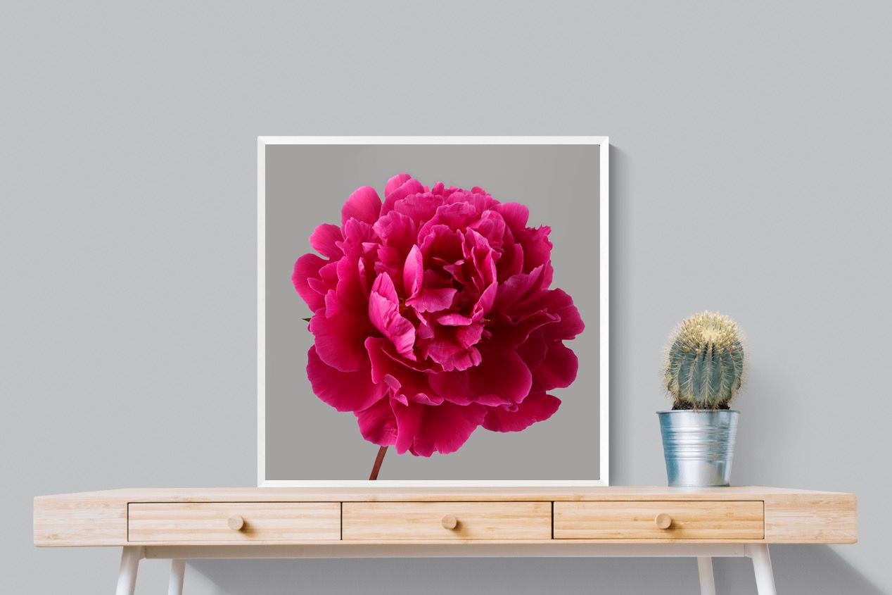 Pixalot Magenta Peony