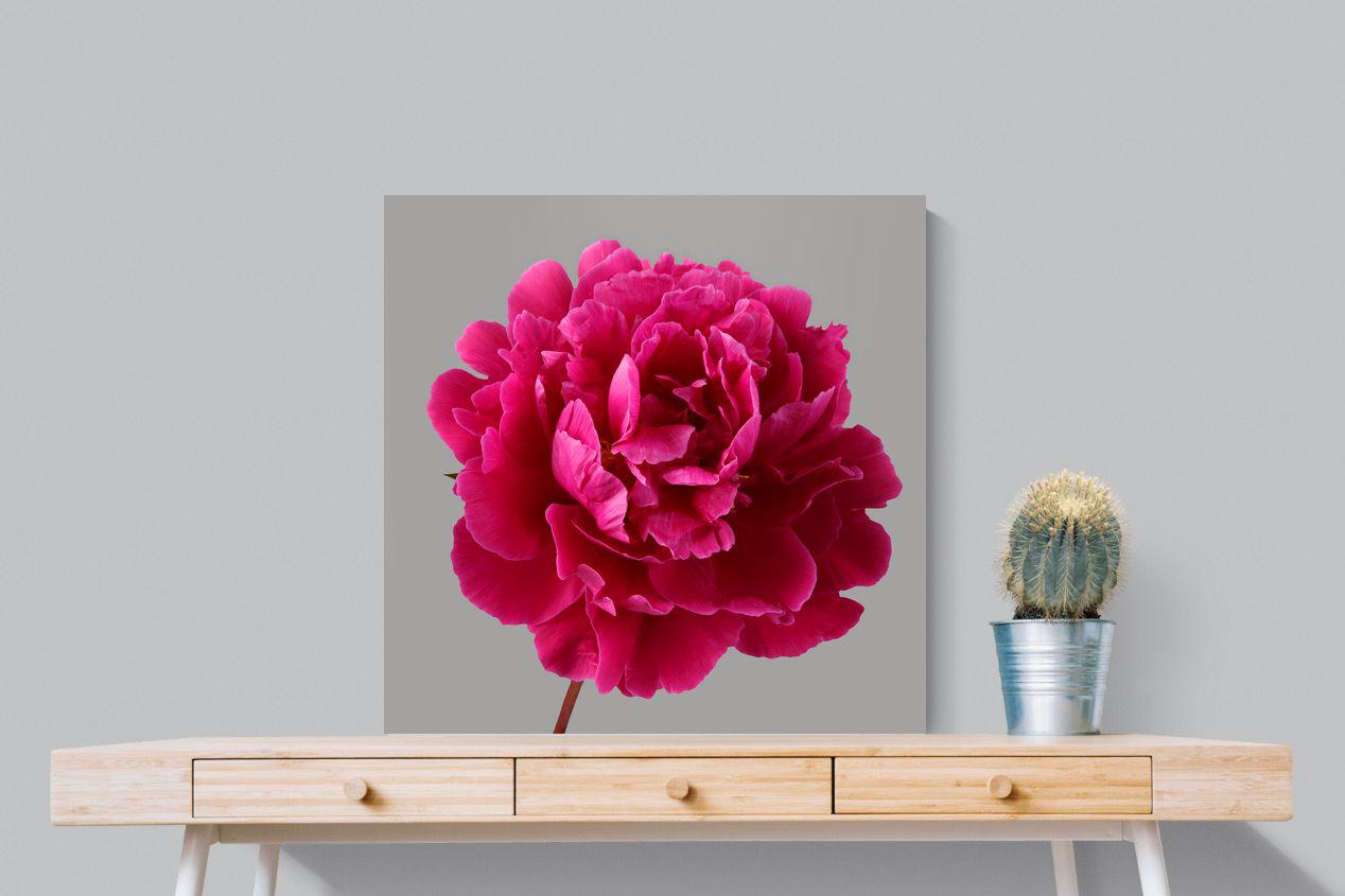 Pixalot Magenta Peony