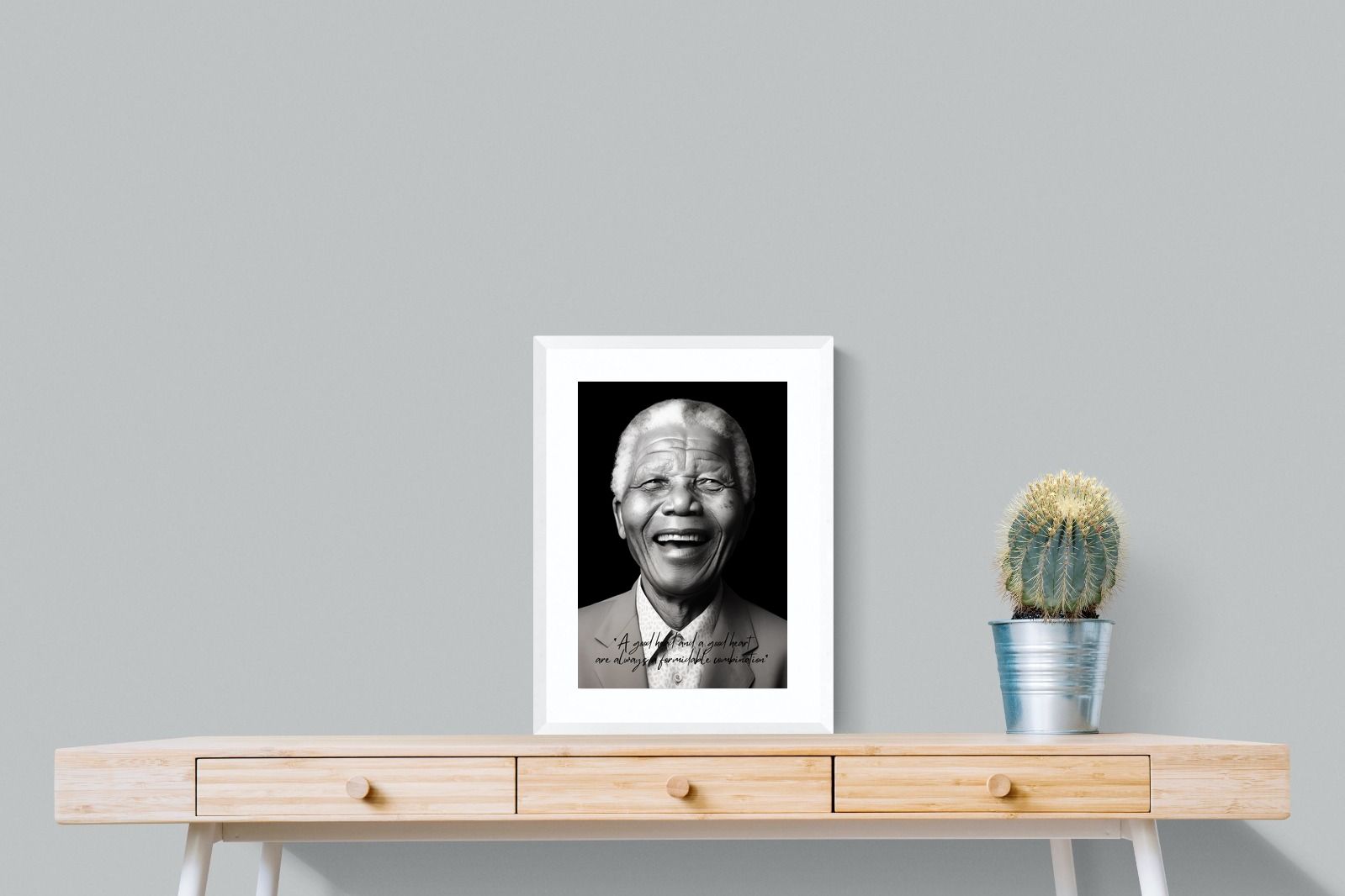 Pixalot Mandela's Wisdom