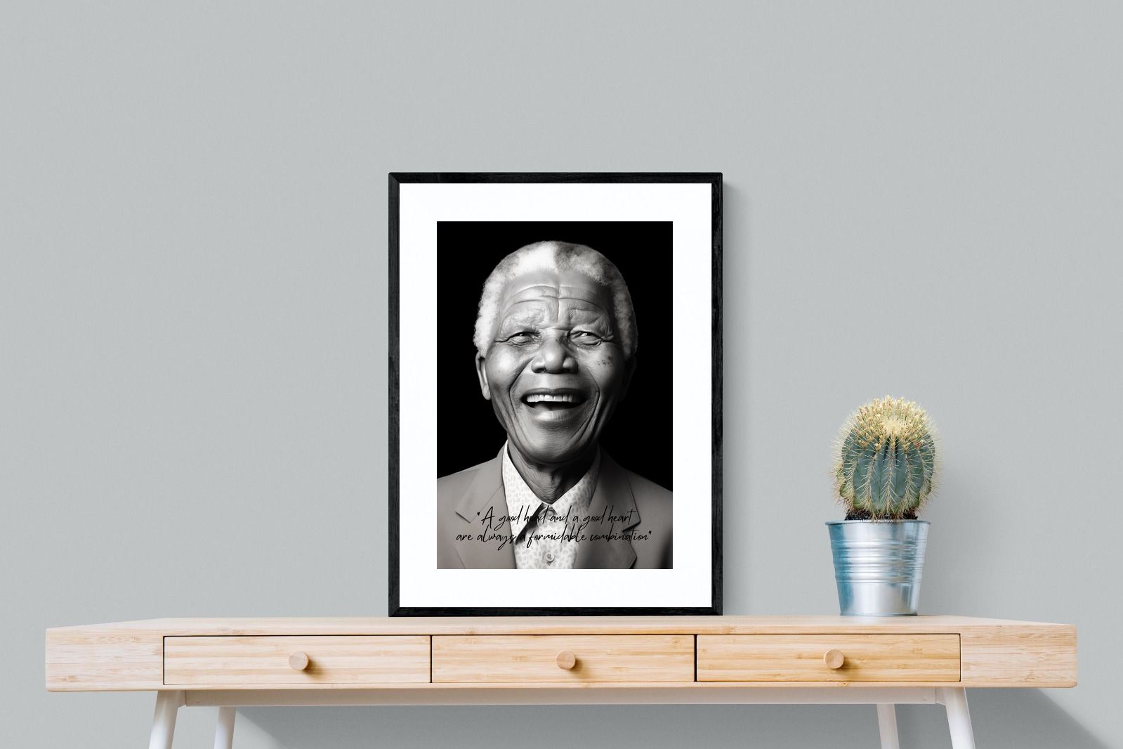 Pixalot Mandela's Wisdom