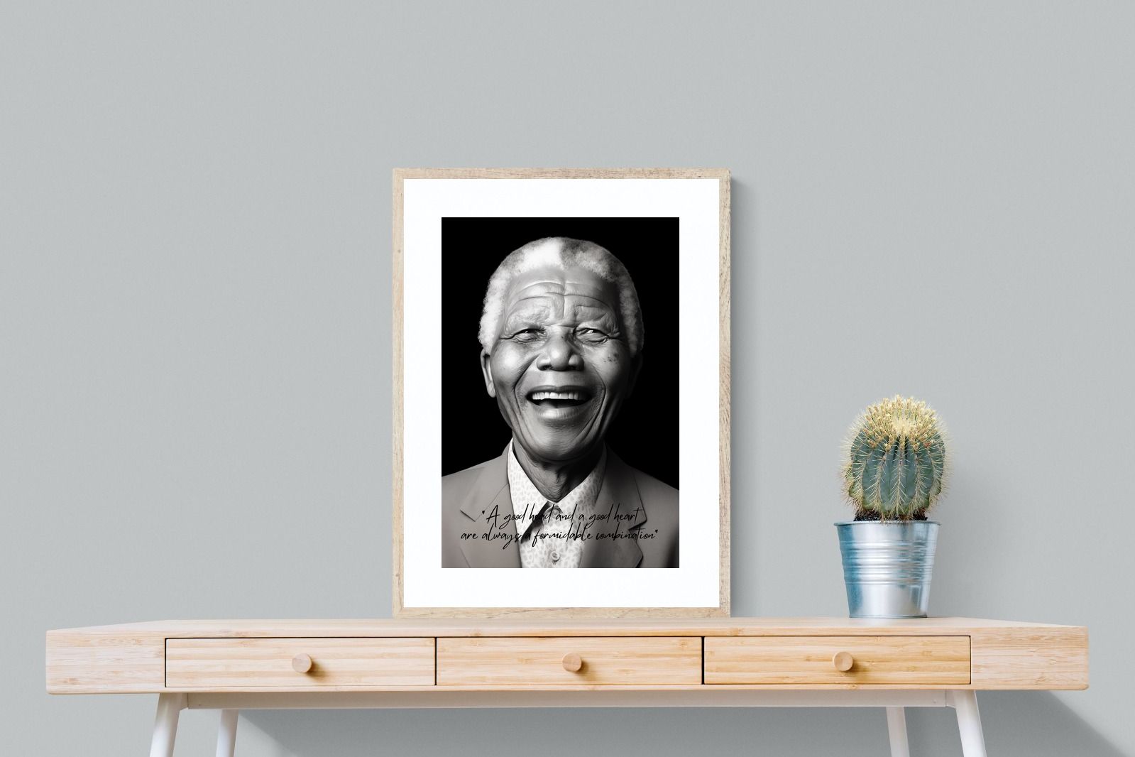 Pixalot Mandela's Wisdom