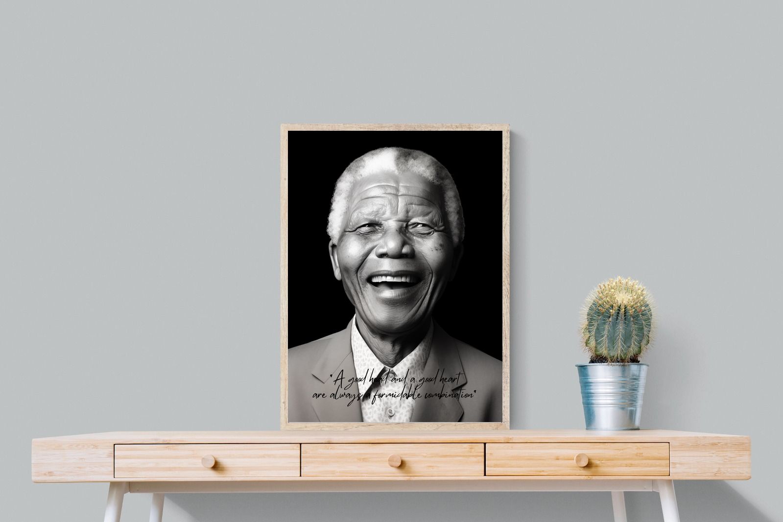 Pixalot Mandela's Wisdom