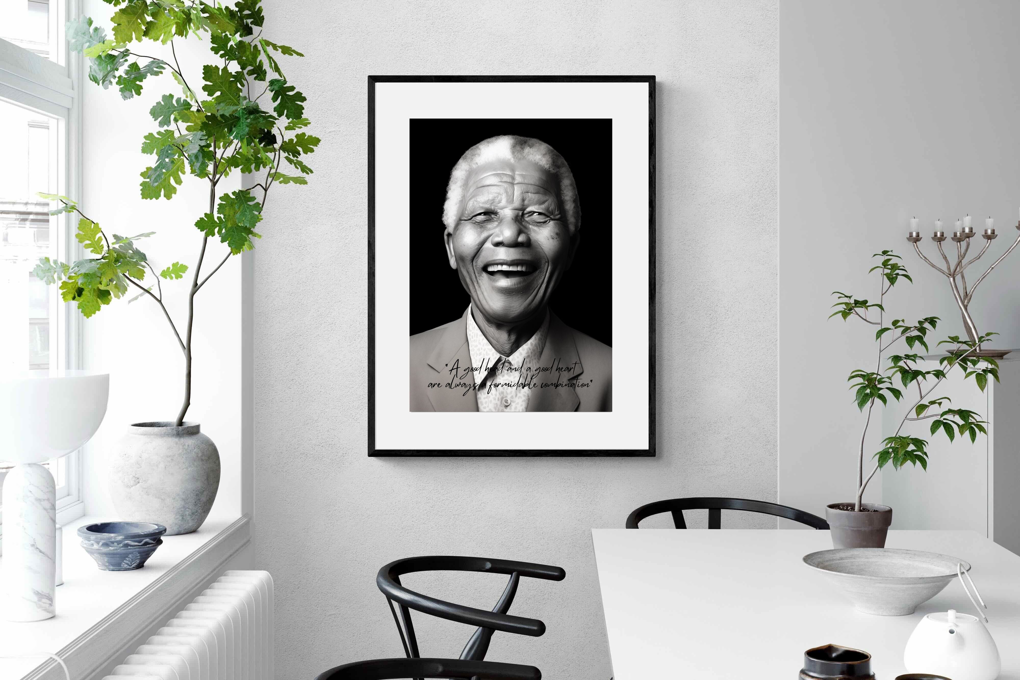 Pixalot Mandela's Wisdom