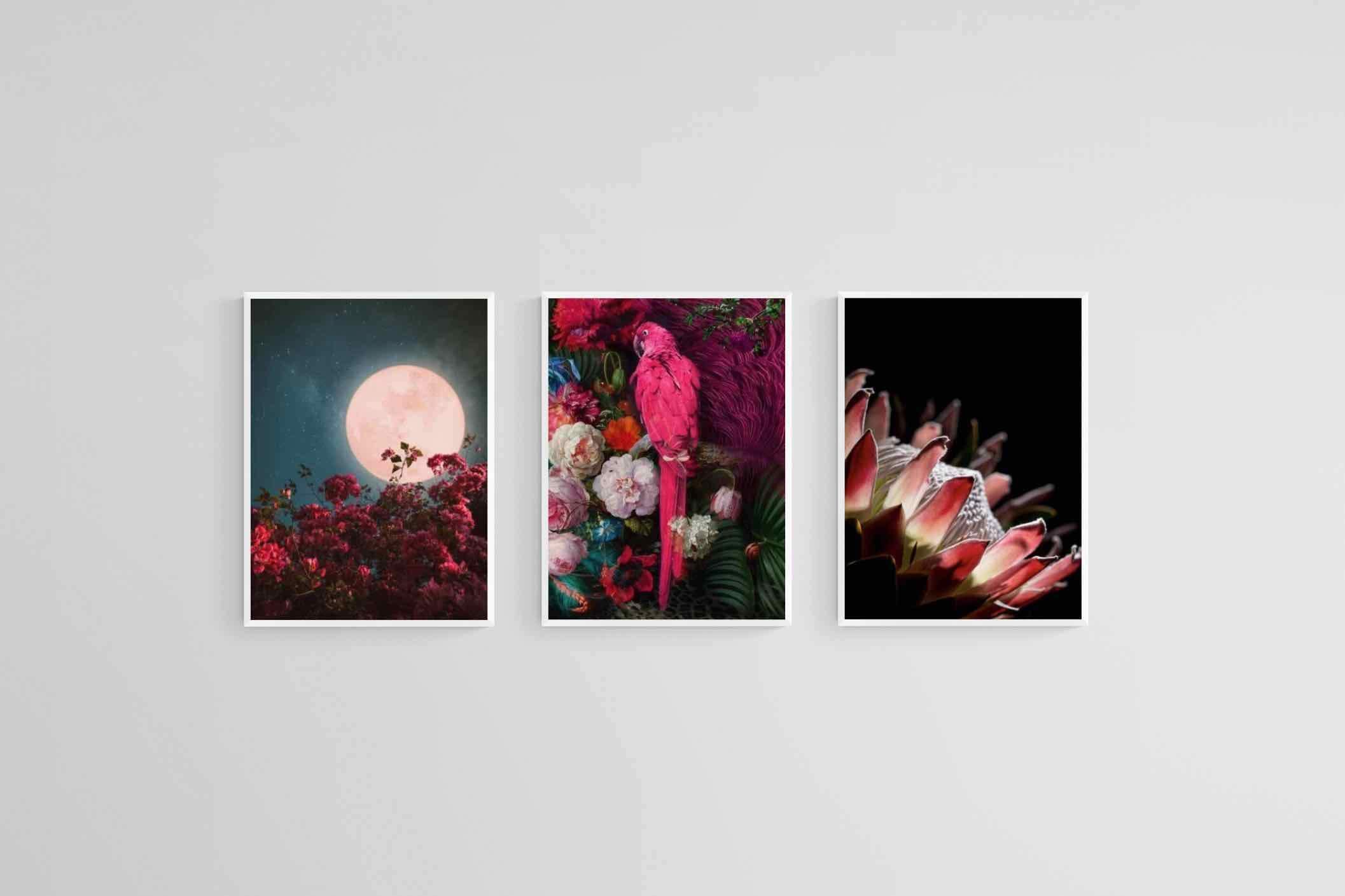 Midnight Set-Wall_Art-45 x 60cm (x3)-Mounted Canvas-White-Pixalot