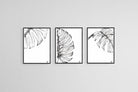 Monstera Illustration Set-Wall_Art-45 x 60cm (x3)-Mounted Canvas-Black-Pixalot