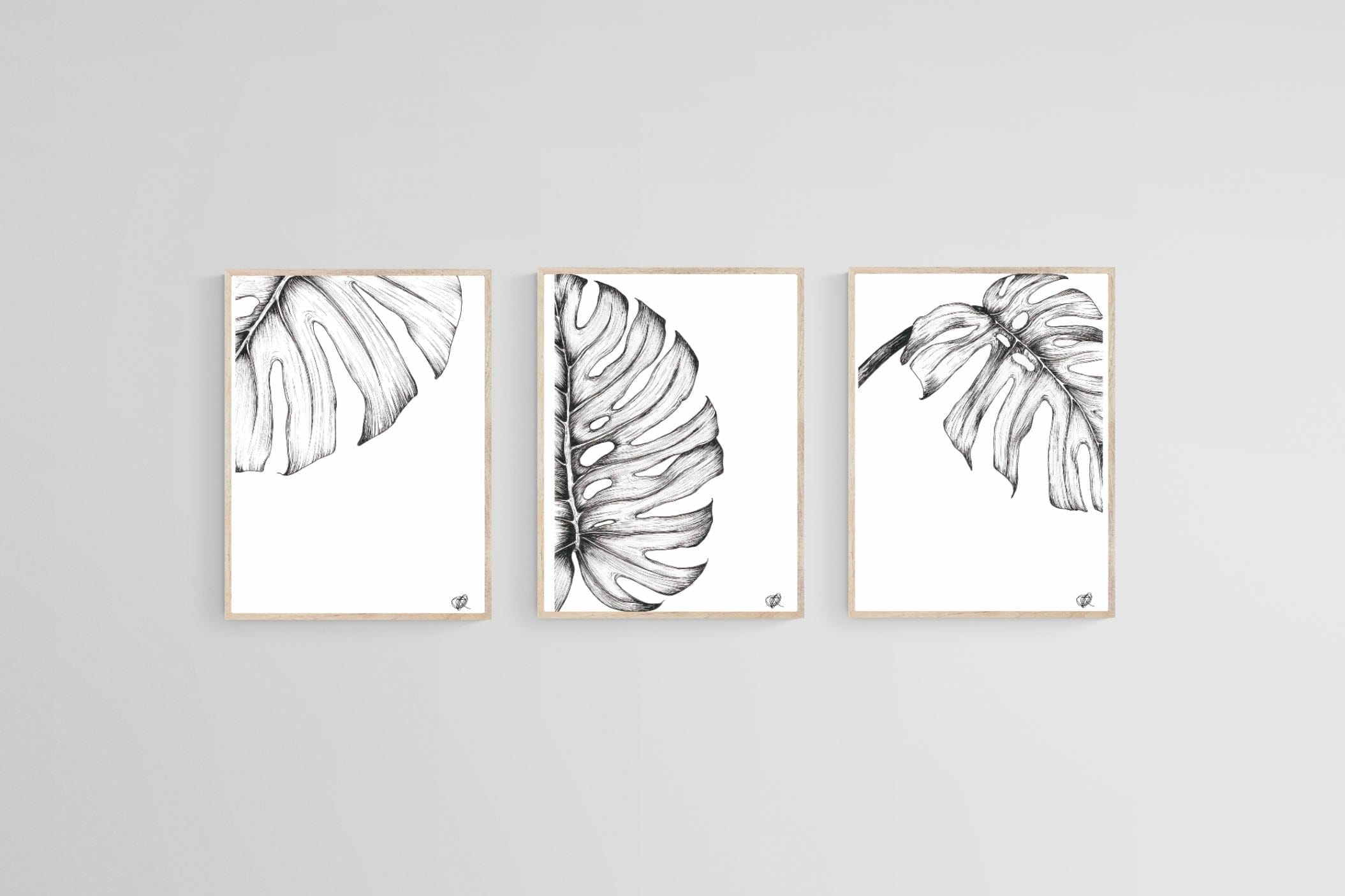 Monstera Illustration Set-Wall_Art-45 x 60cm (x3)-Mounted Canvas-Wood-Pixalot