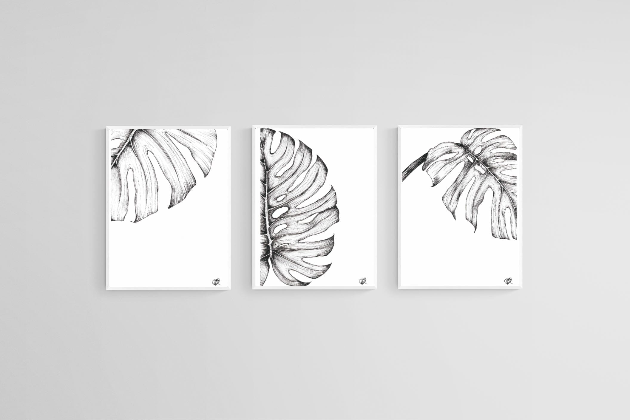 Monstera Illustration Set-Wall_Art-45 x 60cm (x3)-Mounted Canvas-White-Pixalot