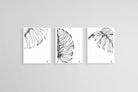 Monstera Illustration Set-Wall_Art-45 x 60cm (x3)-Mounted Canvas-White-Pixalot