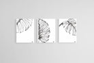 Monstera Illustration Set-Wall_Art-45 x 60cm (x3)-Mounted Canvas-No Frame-Pixalot