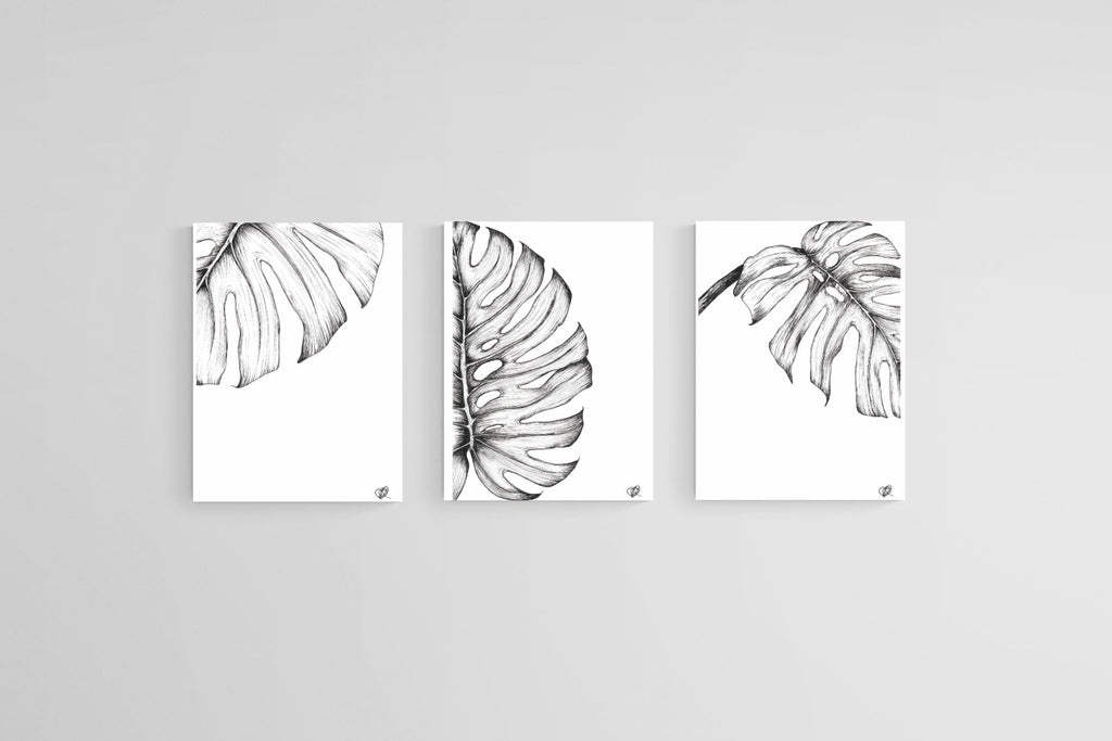 Monstera Illustration Set-Wall_Art-45 x 60cm (x3)-Mounted Canvas-No Frame-Pixalot