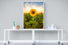 Morning Sunflowers-Wall_Art-90 x 120cm-Mounted Canvas-White-Pixalot