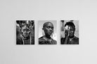 My Africa-Wall_Art-45 x 60cm (x3)-Mounted Canvas-No Frame-Pixalot
