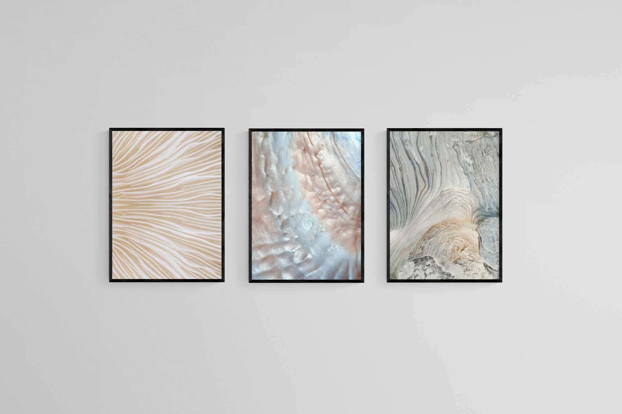 Natural Beauty Set-Wall_Art-45 x 60cm (x3)-Mounted Canvas-Black-Pixalot