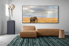 Pixalot Ngorongoro Ele