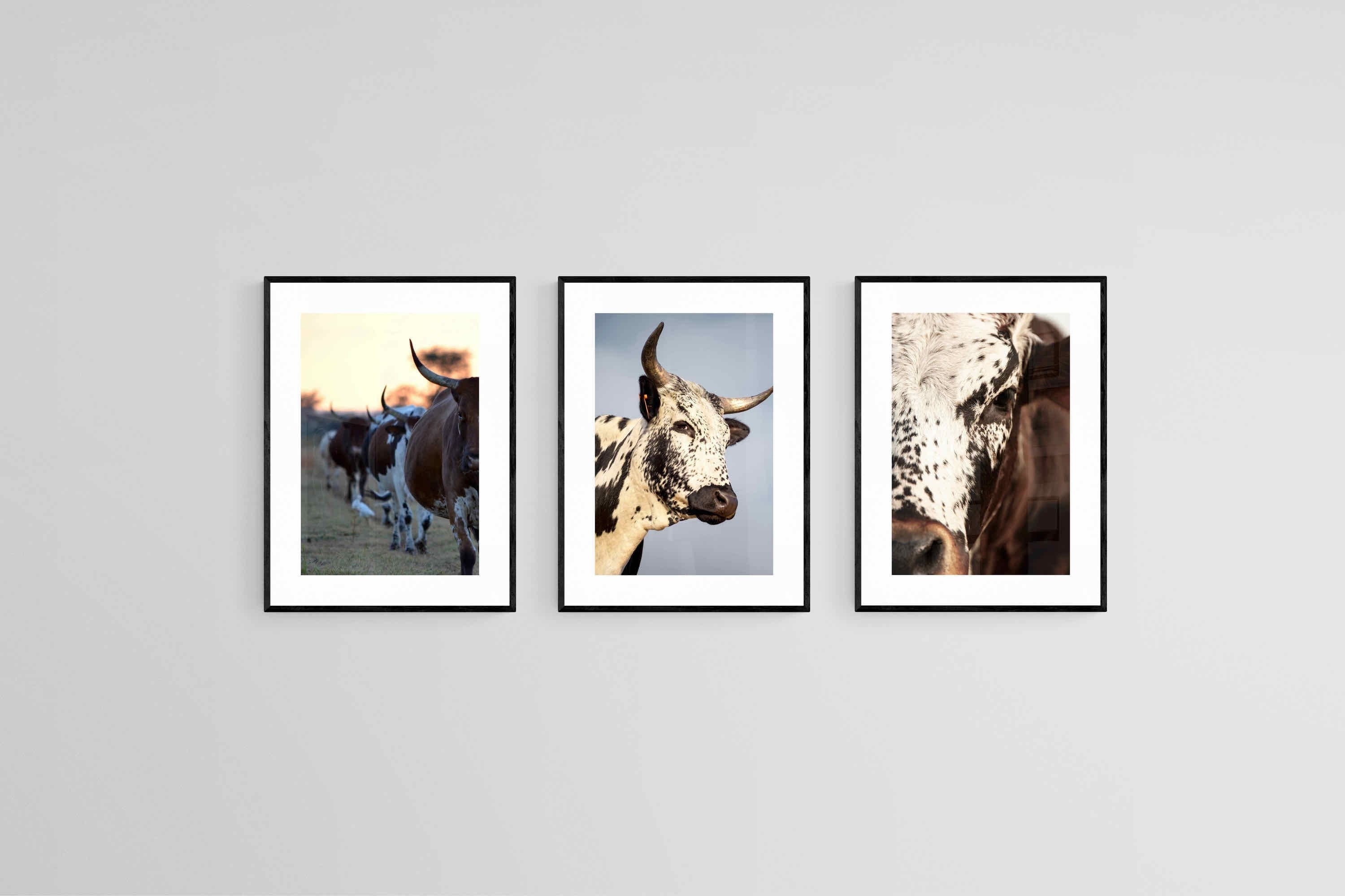 Nguni Set-Wall_Art-45 x 60cm (x3)-Framed Print-Black-Pixalot