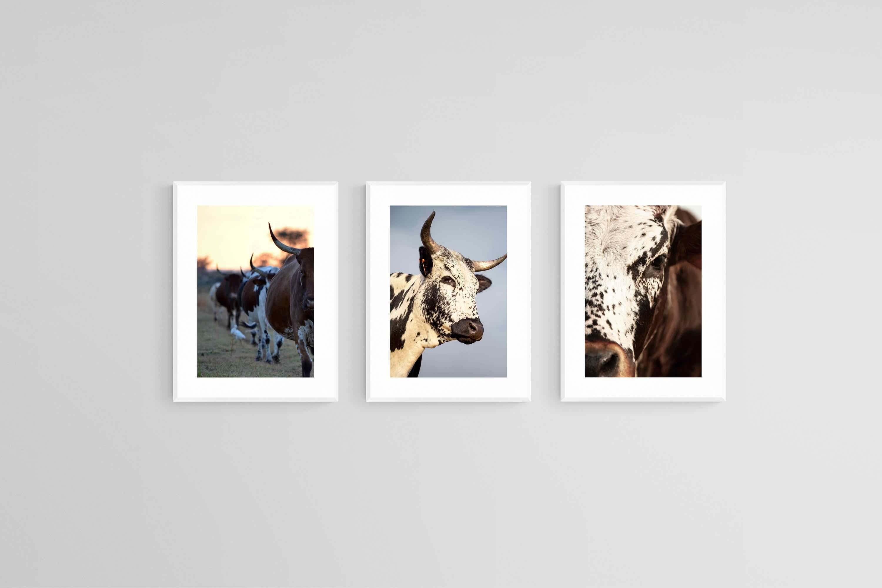 Nguni Set-Wall_Art-45 x 60cm (x3)-Framed Print-White-Pixalot