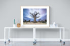 Night Sky Baobab-Wall_Art-120 x 90cm-Framed Print-Wood-Pixalot