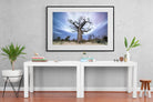 Night Sky Baobab-Wall_Art-150 x 100cm-Framed Print-Black-Pixalot