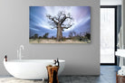 Night Sky Baobab-Wall_Art-180 x 110cm-Mounted Canvas-No Frame-Pixalot