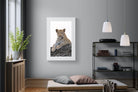 Old Blue Eyes-Wall_Art-100 x 150cm-Framed Print-White-Pixalot