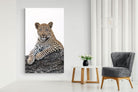 Old Blue Eyes-Wall_Art-130 x 220cm-Mounted Canvas-No Frame-Pixalot