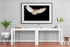 Owl Attack-Wall_Art-150 x 100cm-Framed Print-Black-Pixalot