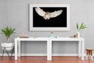 Owl Attack-Wall_Art-150 x 100cm-Framed Print-Wood-Pixalot