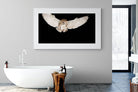 Owl Attack-Wall_Art-180 x 110cm-Framed Print-White-Pixalot