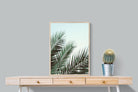 Pixalot Palm Sky
