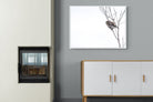 Pearl-Spotted Owlet-Wall_Art-100 x 75cm-Mounted Canvas-White-Pixalot